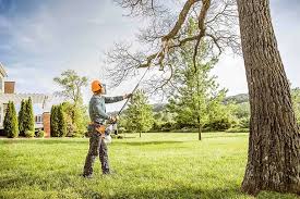 Best Lot and Land Clearing  in Country Club Estates, GA