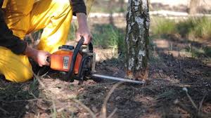 Best Lawn Drainage Solutions  in Country Club Estates, GA