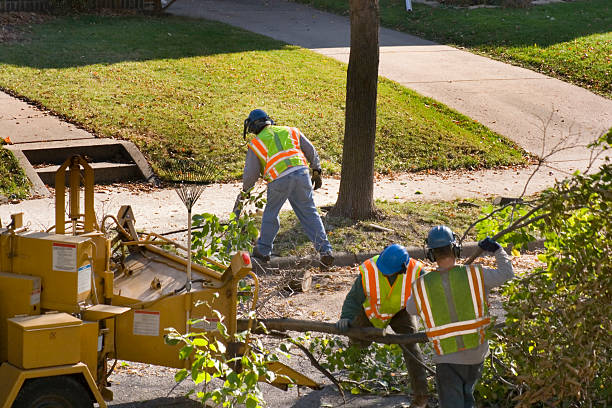 Best Seasonal Cleanup (Spring/Fall)  in Country Club Estates, GA