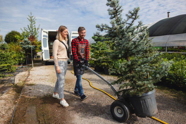 Mulching Services in Country Club Estates, GA